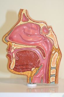 hoofd- en hals- oncologie